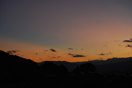 DSC_0445