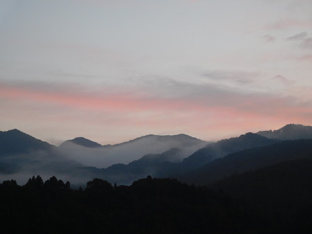 DSCN0156