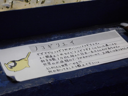 DSCN0363