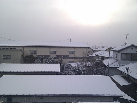 IMAG0990