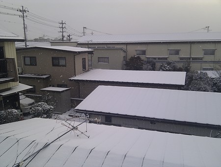 IMAG0991