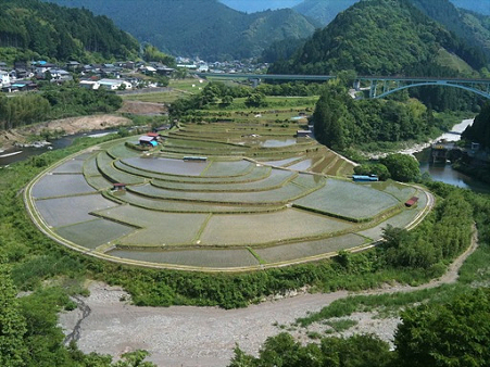 写真 7