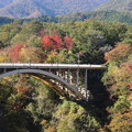 Photos: ２８．１０．２７鳴子峡・大深沢橋を望む