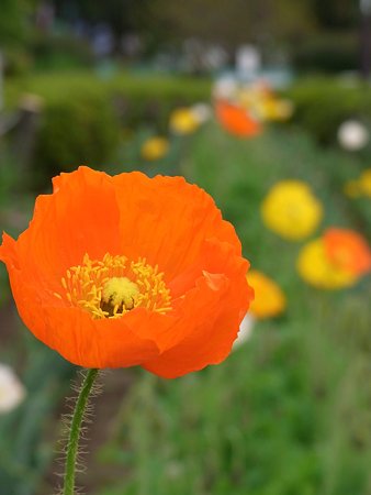 20100515_135804
