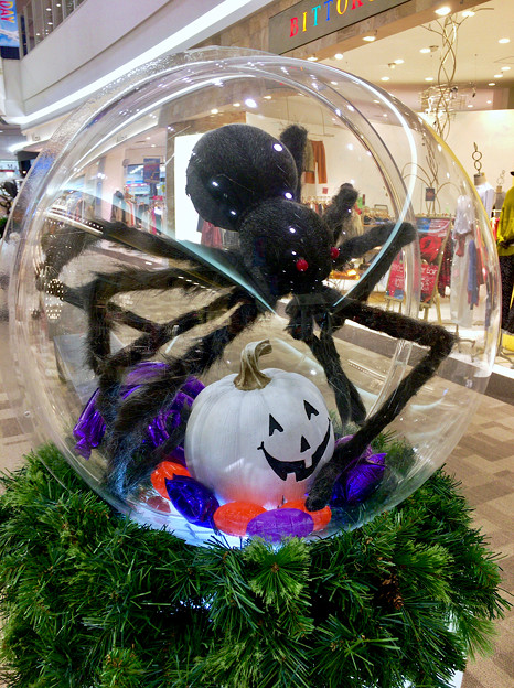 Photos: エアポートウォーク名古屋のハロウィン装飾 - 3：大きな蜘蛛