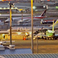 Photos: 県営名古屋空港：FDA機とMRJ - 2