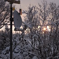 夜明けの雪景