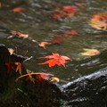 Photos: 秋が往く