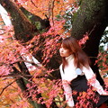 Photos: 紅葉の妖精