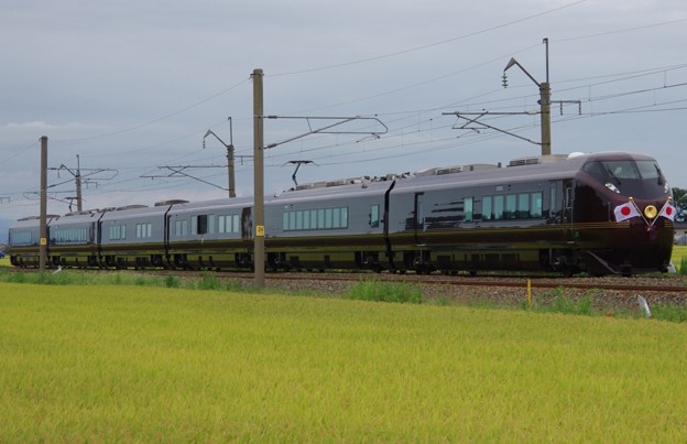 E655系&quot;和(なごみ)&quot; ※TR車(E655-1)込み  お召し列車(往路)
