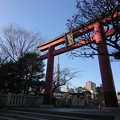 Photos: 亀戸天神社 １
