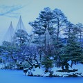 Photos: 雪の兼六園　蓬莱島と唐崎松